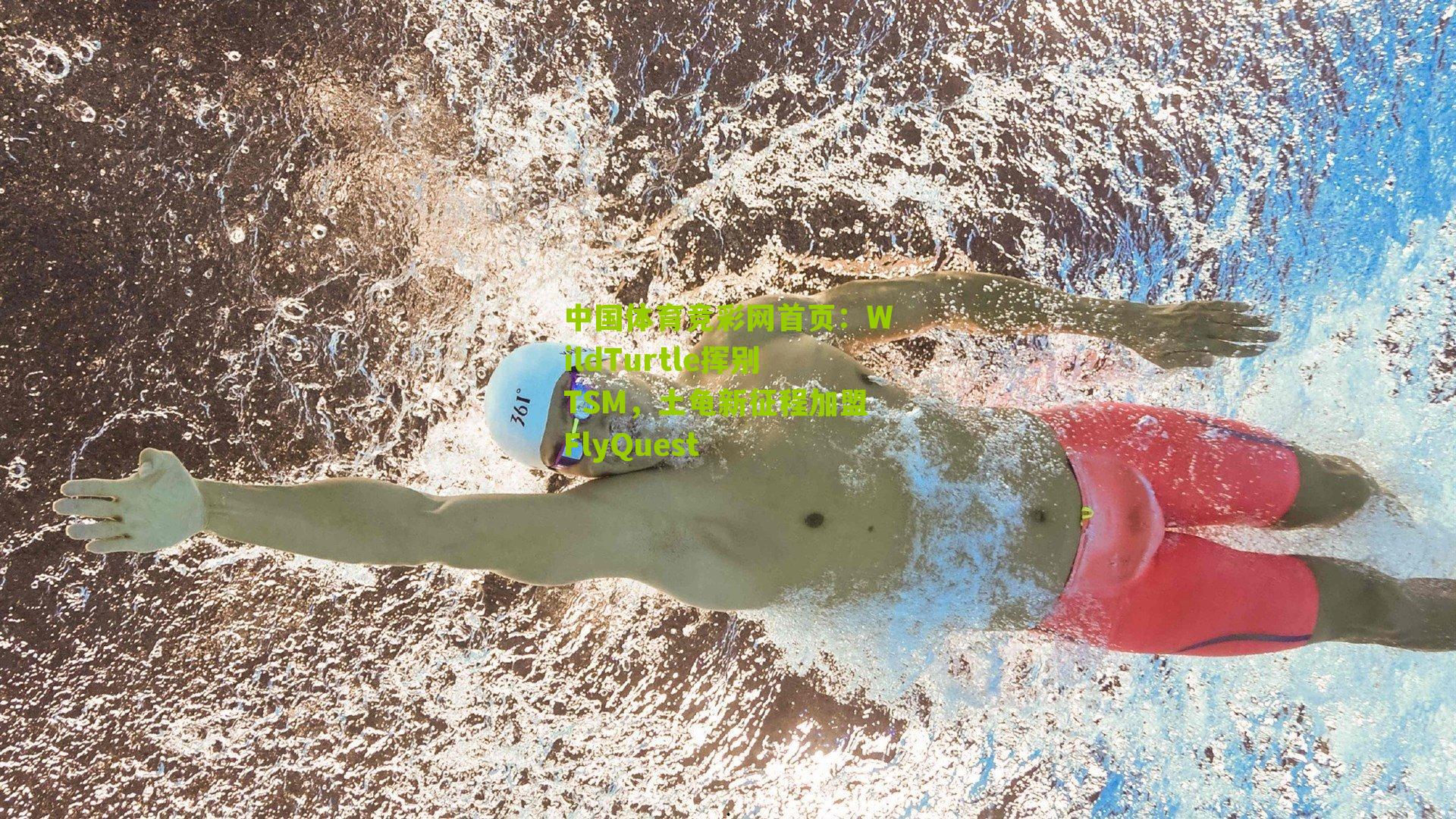 WildTurtle挥别TSM，土龟新征程加盟FlyQuest