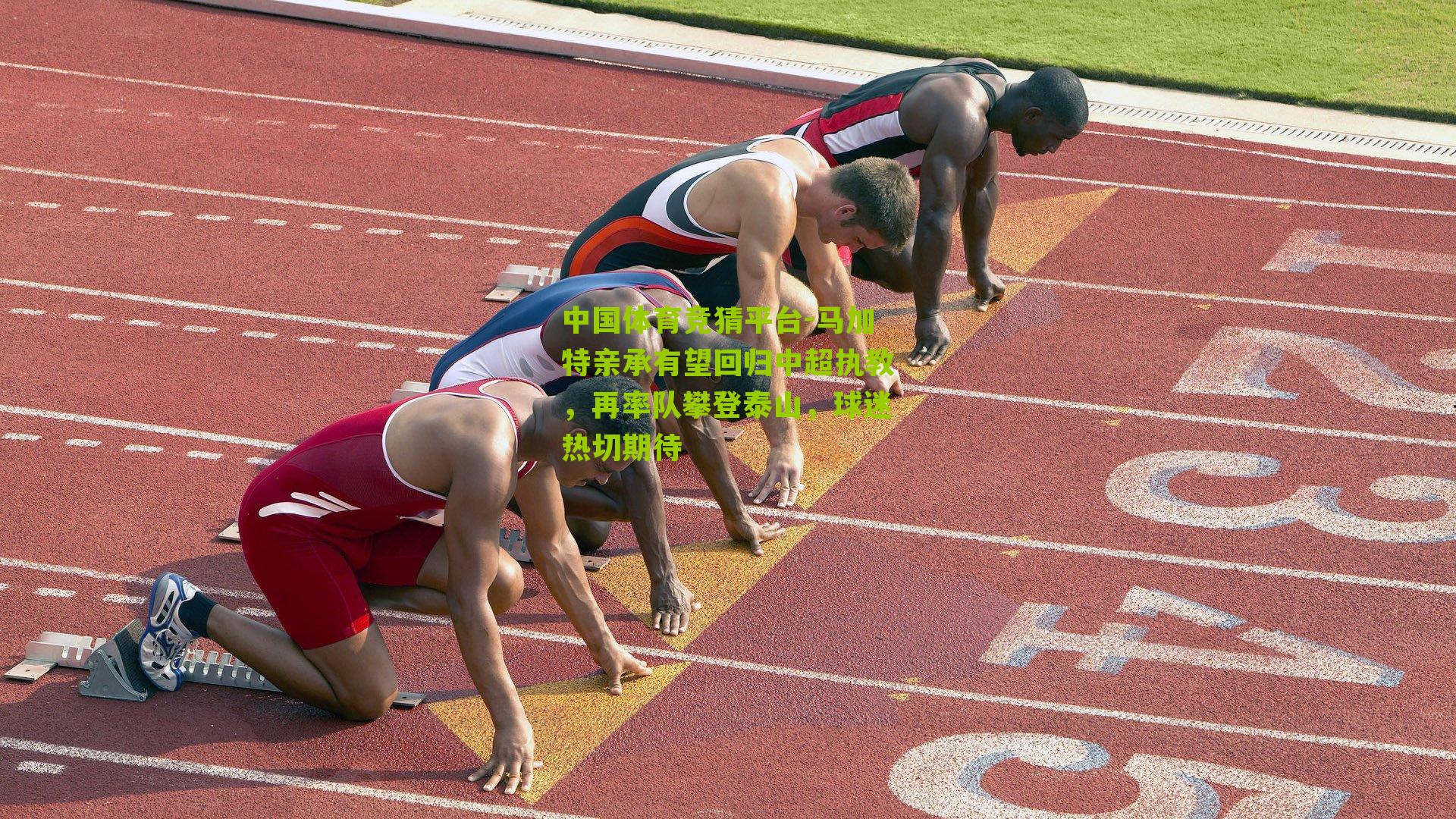 中国体育竞猜平台-马加特亲承有望回归中超执教，再率队攀登泰山，球迷热切期待